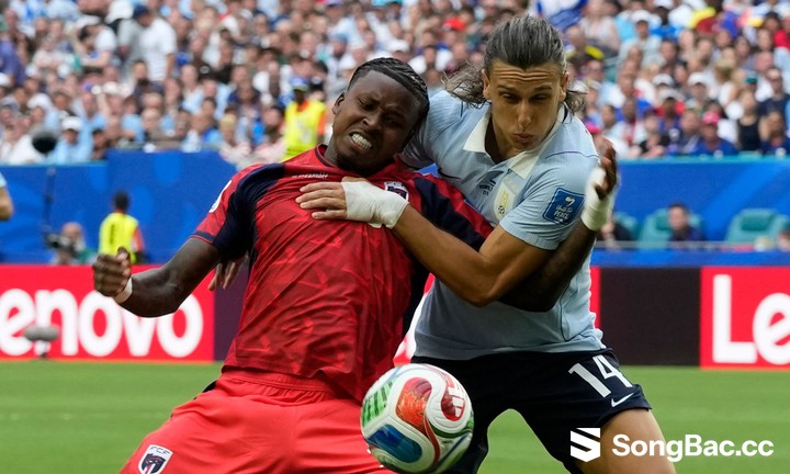 Uruguay có kết quả hòa đáng thất vọng trước các đối thủ không được đánh giá cao là Cape Verde và Ả Rập Xê Út. (Ảnh: Reuters) Uruguay có kết quả hòa đáng thất vọng trước các đối thủ không được đánh giá cao là Cape Verde và Ả Rập Xê Út. (Ảnh: Reuters)