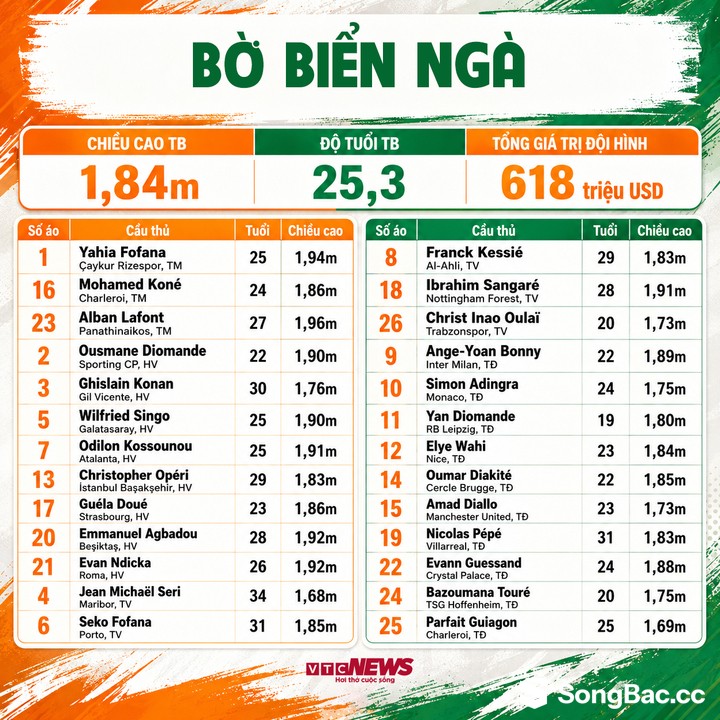 Đội hình Bờ Biển Ngà dự World Cup 2026