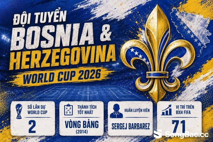 Thông tin đội tuyển Bosnia & Herzegovina. Thông tin đội tuyển Bosnia & Herzegovina.